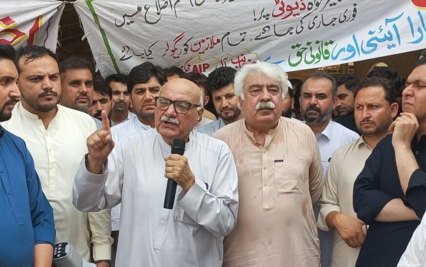 ANP slams KP govt for failing to pay doctors in merged districts