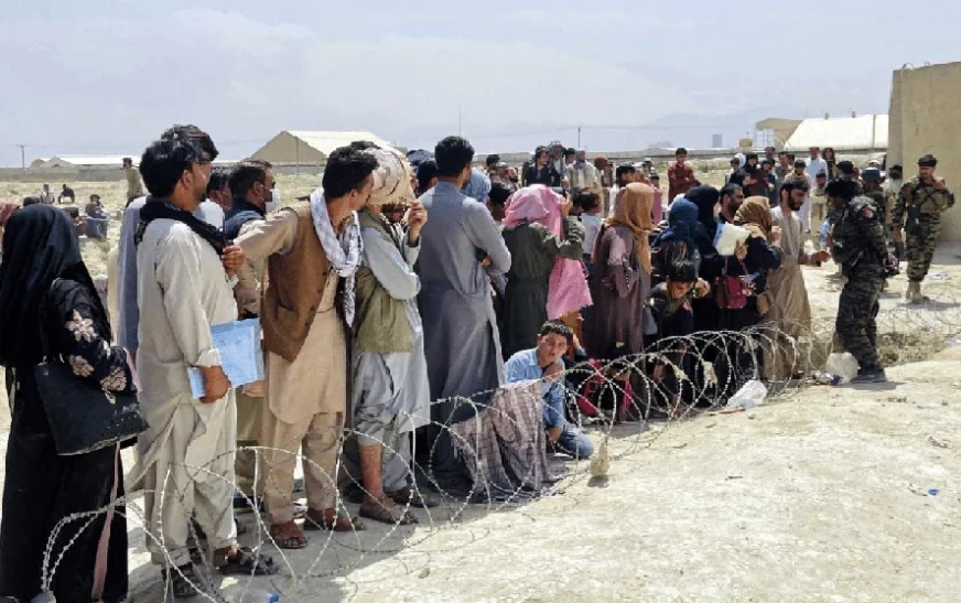 Afghan refugess