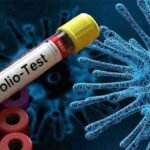 polio virus