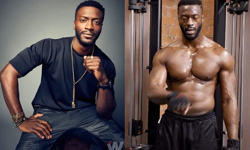 Aldis Hodge: A Journey of Talent and Versatility
