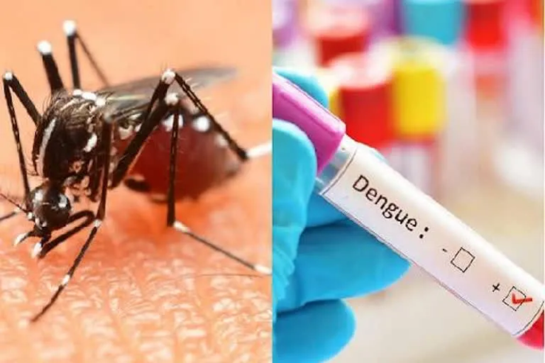 KP govt asks health department for explanation on dengue fund use