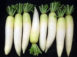 What are the health benefits of Radish for the stomach and intestines?