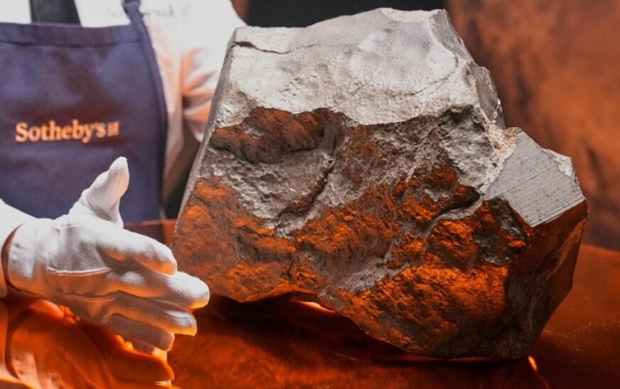 How much price fixed for Mars rock that fell in Niger?
