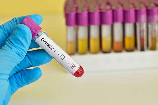 Dengue active cases in KP reach 268 amid surge in infections