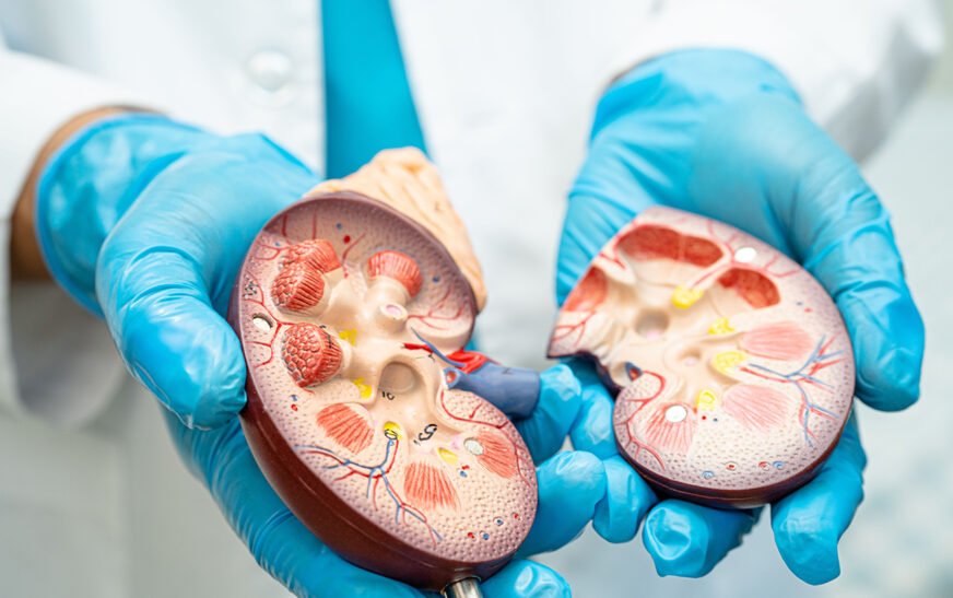 5 morning habits that could harm your kidneys