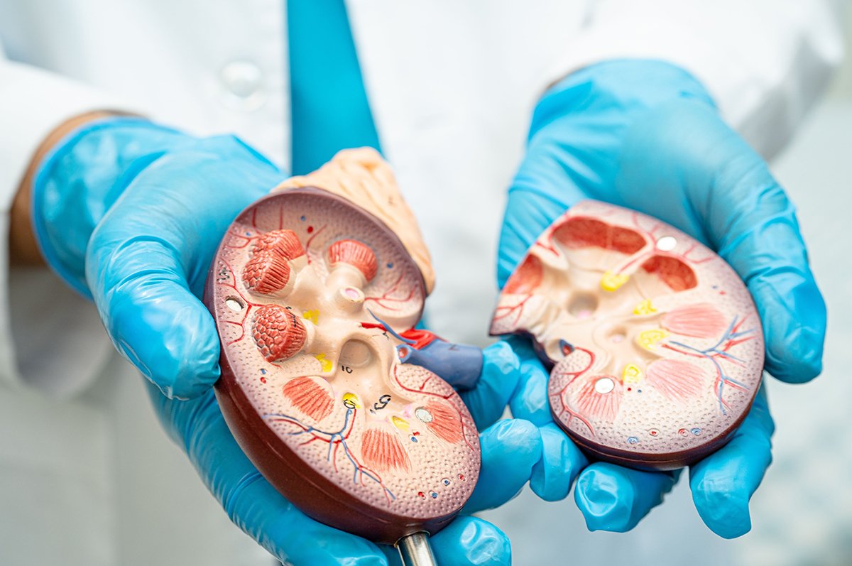 5​‍​‌‍​‍‌​‍​‌‍​‍‌ morning habits that could harm your kidneys