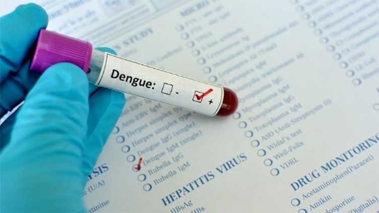 Dengue