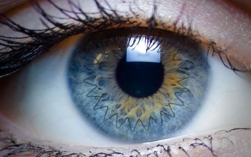 AFIO makes history with first-ever corneal transplant from local donor