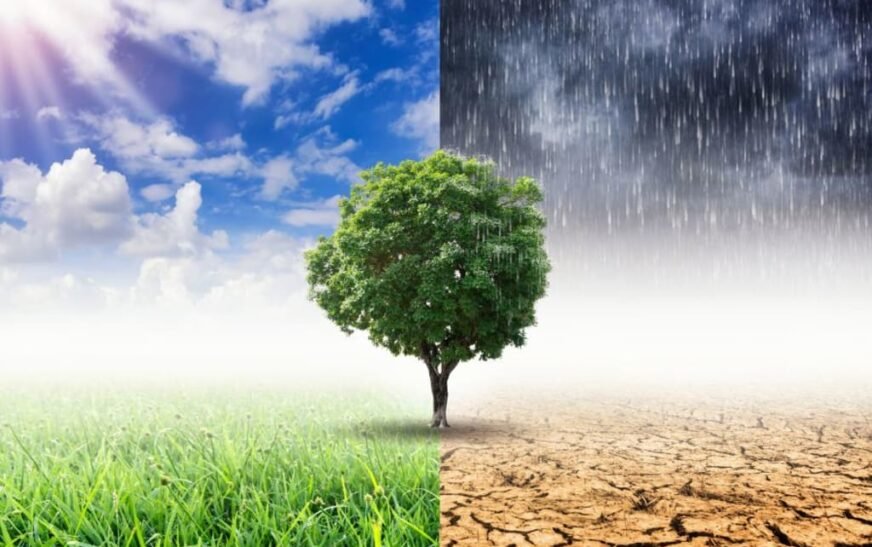 Climate change driving rise in global deaths, report warns