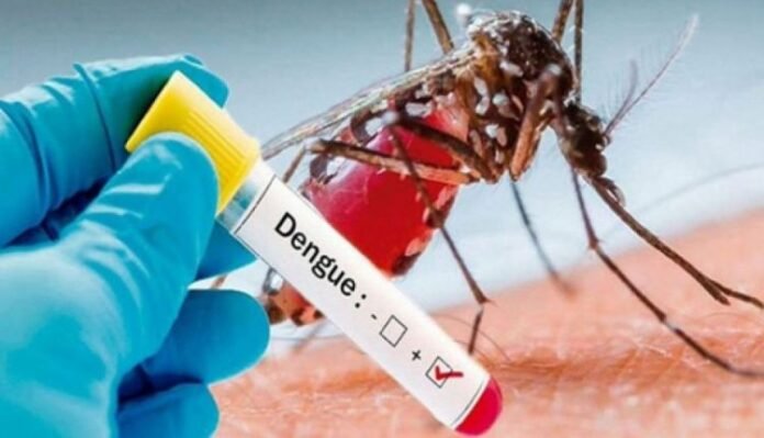 KP reports new dengue cases amid climate warnings