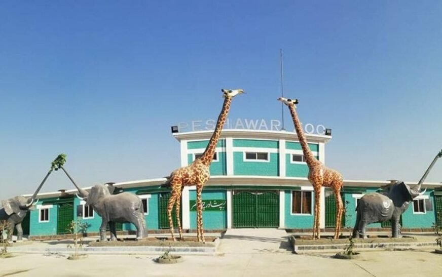 Peshawar Zoo