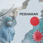 Rise in Chikungunya cases sparks concern in Peshawar