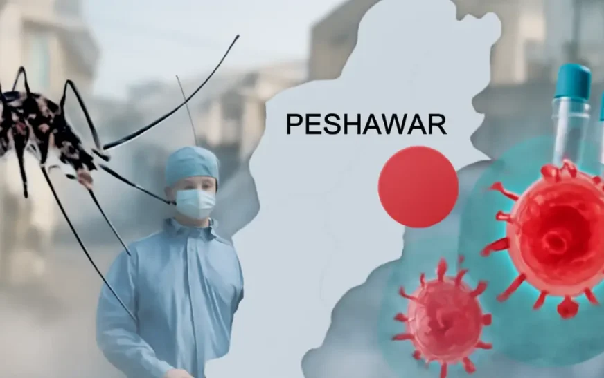 Rise in Chikungunya cases sparks concern in Peshawar