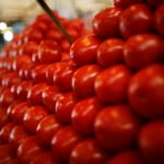 Tomato prices fall to Rs180 per Kg following fresh supply arrival
