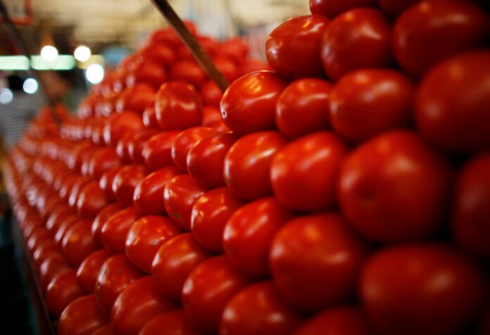 Tomato prices fall to Rs180 per Kg following fresh supply arrival