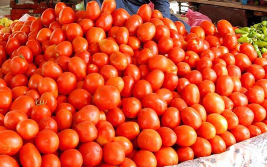 Tomato prices reduce in Peshawar and parts of KP