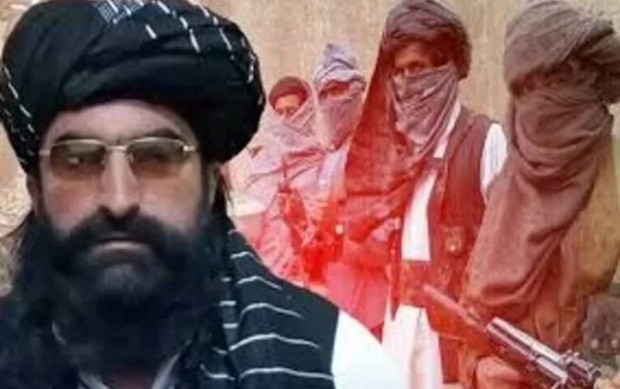 TTP leaders Qari Saif, Khalid Mehsud reportedly killed in Kabul attack