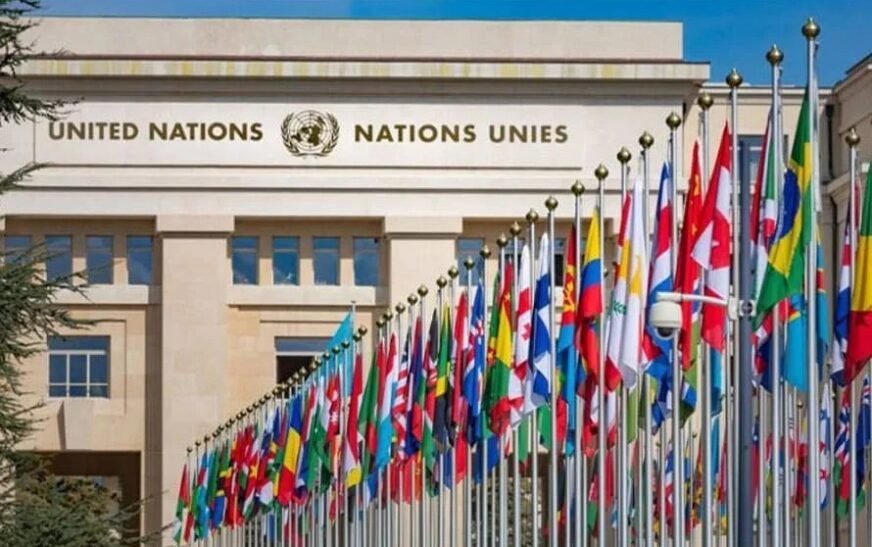 Human Rights Council