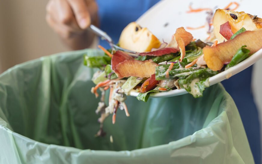 Seven simple procedures to control food waste at household level