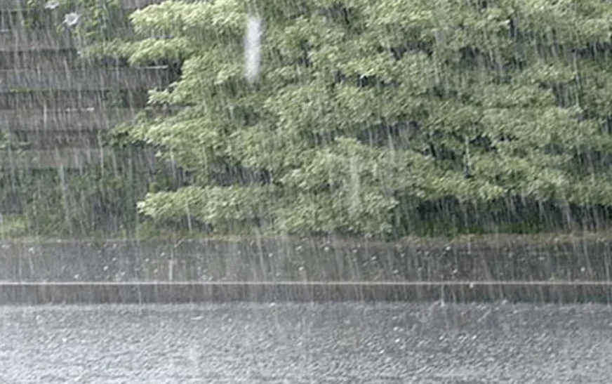PDMA Khyber Pakhtunkhwa issues heavy rain alert