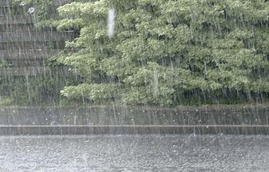 PDMA Khyber Pakhtunkhwa issues heavy rain alert