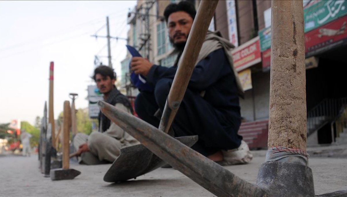 Unemployment in Khyber Pakhtunkhwa hits highest level in Pakistan