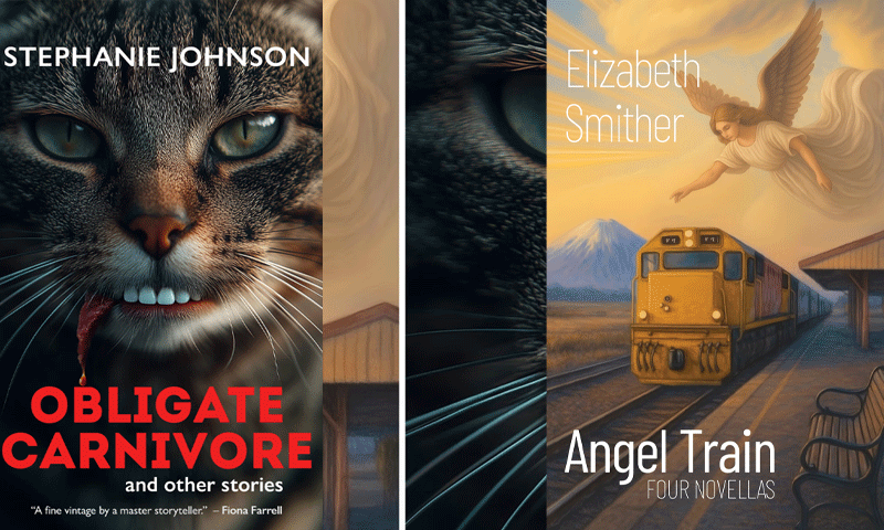 Two prominent authors disqualify for 2026 Okham Book Awards amid A.I using