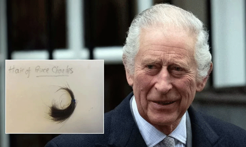 British King Charles’ childhood hair offered for auction