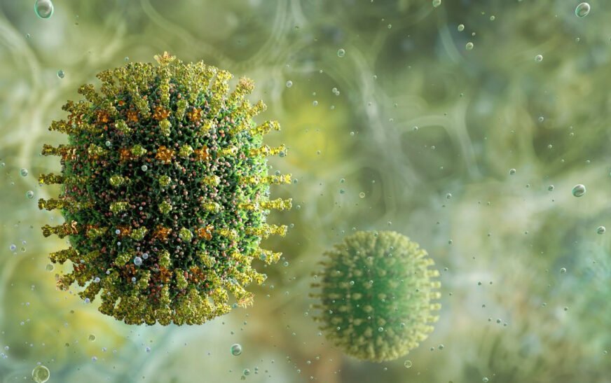 Pressure on Peshawar's hospitals as influenza cases rise with arrival of winter PESHAWAR: With the cold and dry weather, influenza cases have increased in the provincial capital of Khyber Pakhtunkhwa which led to hospitals being full to the brim. The Khyber Pakhtunkhwa Health Department has stated that a population of 30 to 40 percent in the province is infected with influenza annually, and the majority of cases are from the rural areas. This year, hospitals are crowded with patients with colds, coughs, asthma, and chronic respiratory disease. Both adults and children are victims of seasonal diseases, and the trend of cases has risen considerably. Health specialists confirmed that influenza is one of the viral infections that are accompanied by fever, cough, and sneezing symptoms which can be transmitted through these ways. The influenza virus in this situation becomes much more active than usual and hence it is more likely to be infected with people already infected with such viruses. Professor Dr. Muhammad Zafar, a chest disease specialist, told local news channel that the absence of rain has made the weather very dry which in turn, has led to an increase in influenza and other respiratory problems such as asthma and pneumonia. It is the children and elderly people who have been the majority of patients going to hospitals. Experts suggest that immunization is a must for those persons who have a weak immune system as a single isolation not only guards against seasonal illnesses but also lowers the risk of further complications caused by the severity of winter.