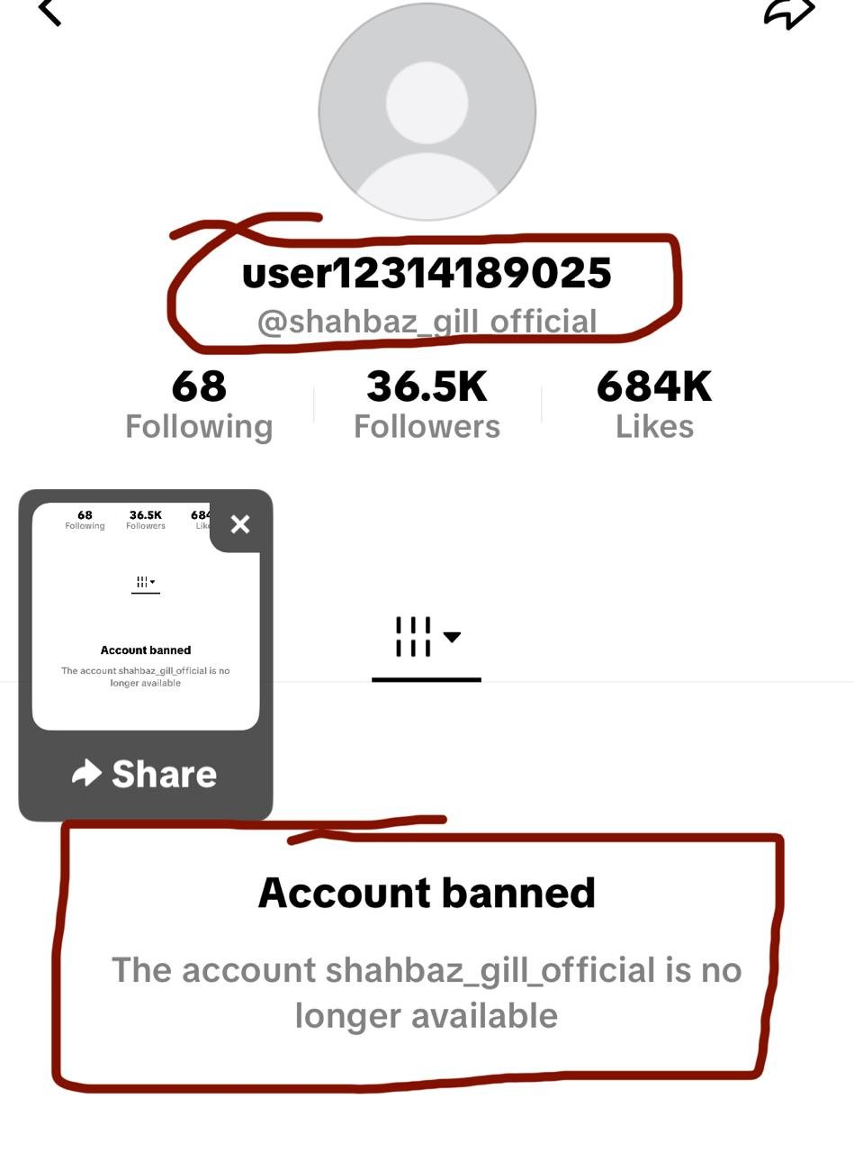 TikTok suspends Shehbaz Gill’s account