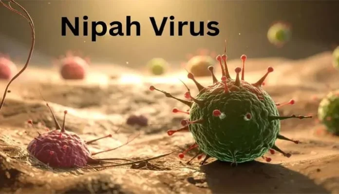 KP govt issues advisory amid Nipah virus threat