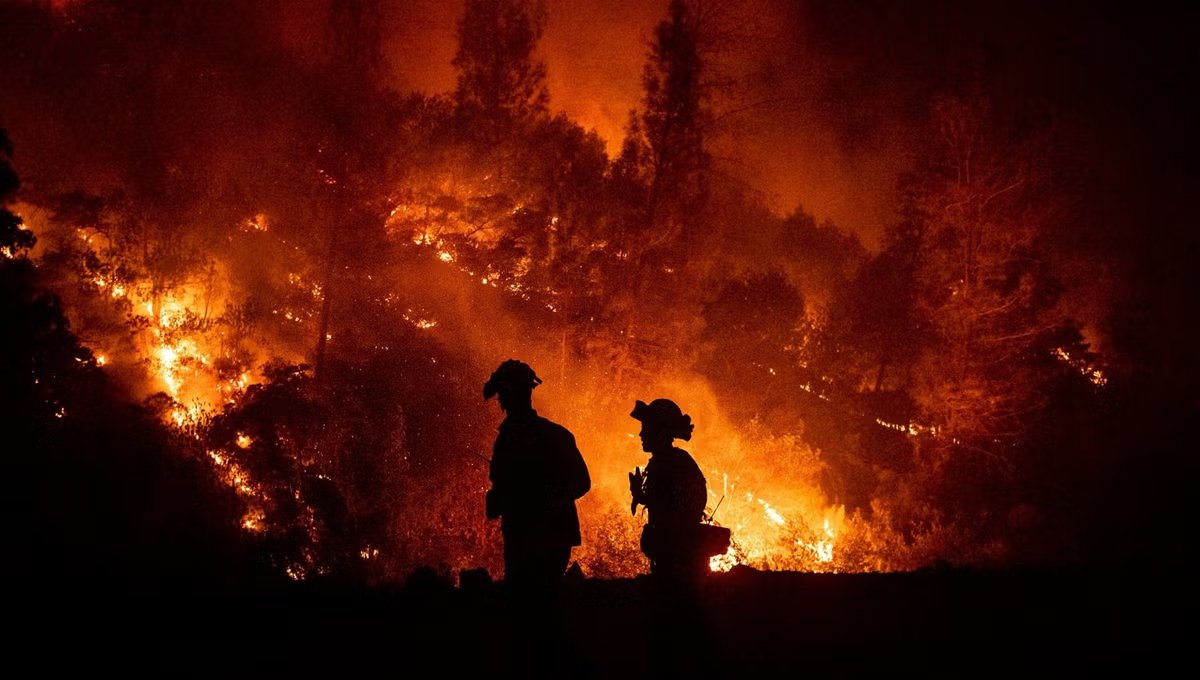 Horrific fire erupts in mountainous area of Dhada Hara Swat ‎