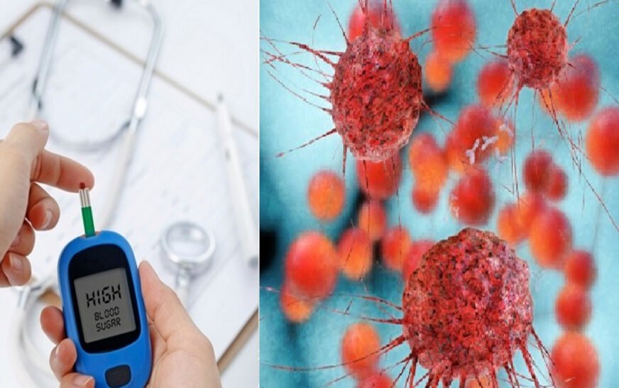 New research done in France points to a major factor behind the global rapid rise of diseases like cancer and diabetes mellitus type 2.