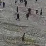 At least four people were killed during clashes between residents and gold miners linked to the Taliban in Chah Ab district of Takhar.