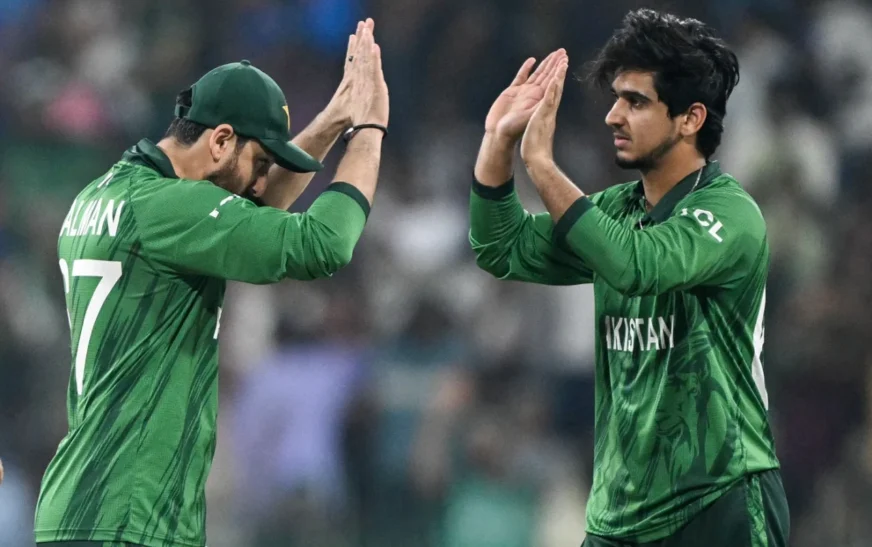 T20 World Cup: India sets modest target, Pakistan looks poised to chase