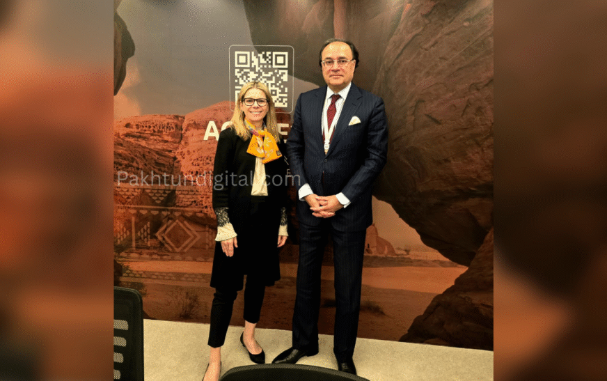 Finance Minister, World Bank MD finalise $20bn development plan for Pakistan