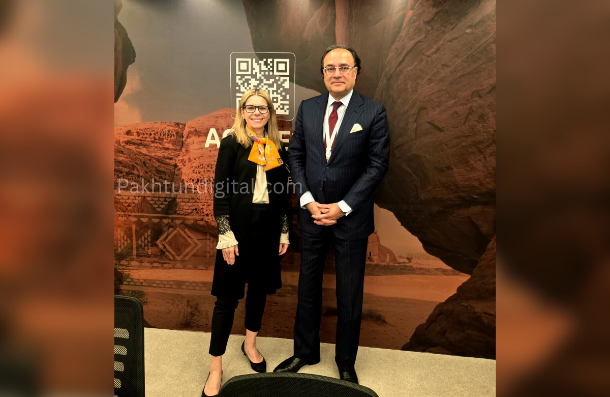 Finance Minister, World Bank MD finalise $20bn development plan for Pakistan