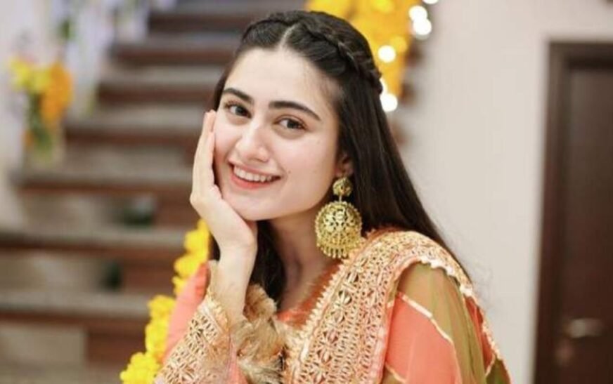 Hina Afridi the Pakistani actress has disclosed that she turned down multiple offers for popular television shows.