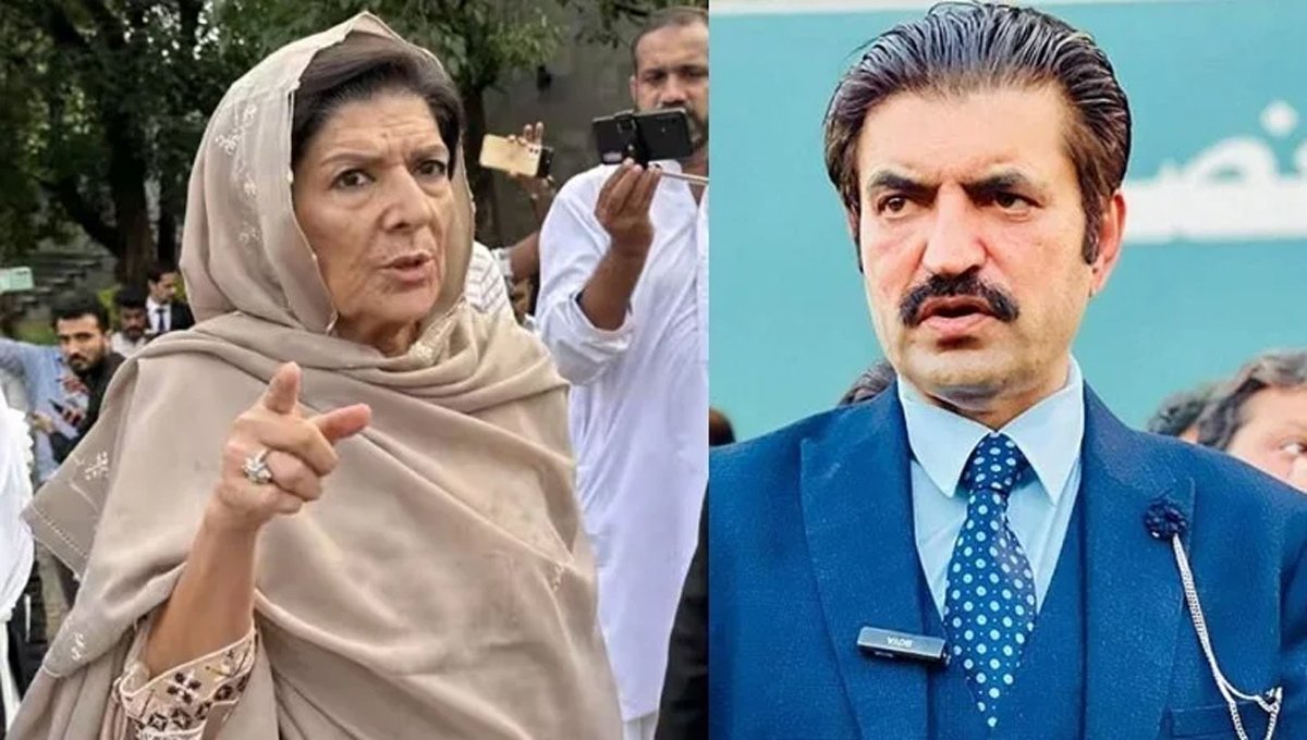 Marwat criticizes Aleema Khan for causing party disputes