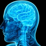 Scientists found a way to decrease human selfishness through their new technique which uses mild electrical brain stimulation.