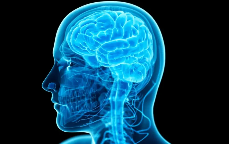 Scientists found a way to decrease human selfishness through their new technique which uses mild electrical brain stimulation.