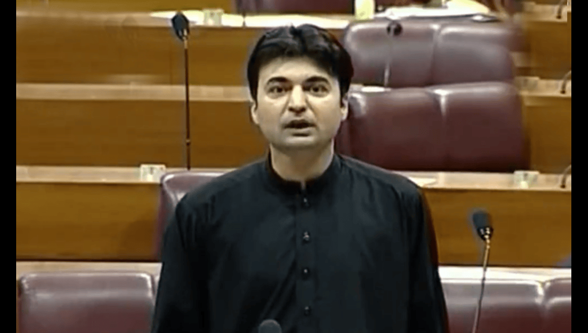 PTI’s Murad Saeed resigns from Senate seat in protest
