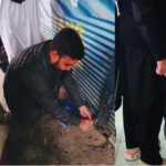 Khyber Pakhtunkhwa revenue