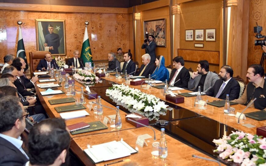 President Zardari calls for immediate measures to ease burden of rising energy costs