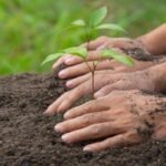 CM Sohail Afridi has unveiled a landmark initiative to plant 1 million trees across the province on March 23, Pakistan Day,