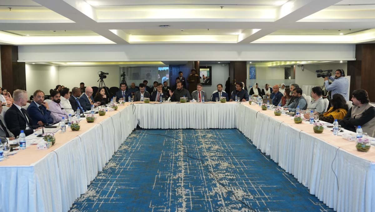 Move launched to protect rights of 21,000 Pakistanis detained abroad