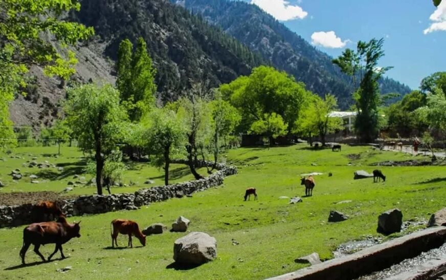 Plastic bags banned across Kalash Valley to protect environment and tourism