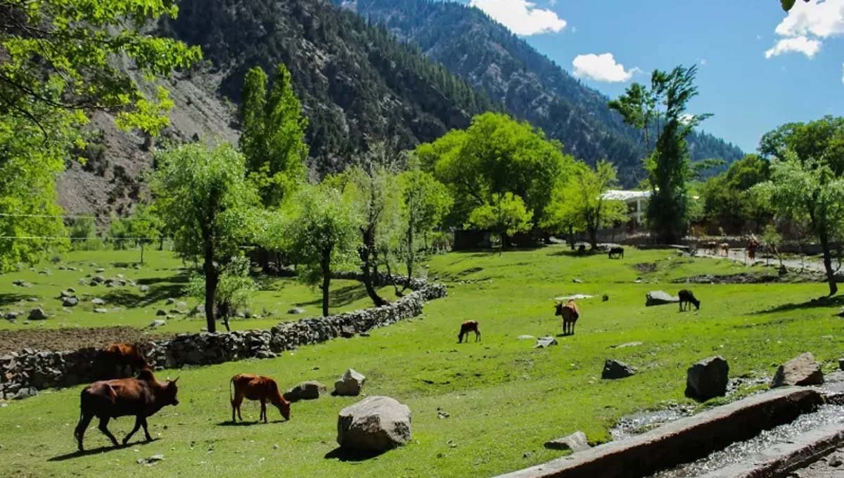 Plastic bags banned across Kalash Valley to protect environment and tourism