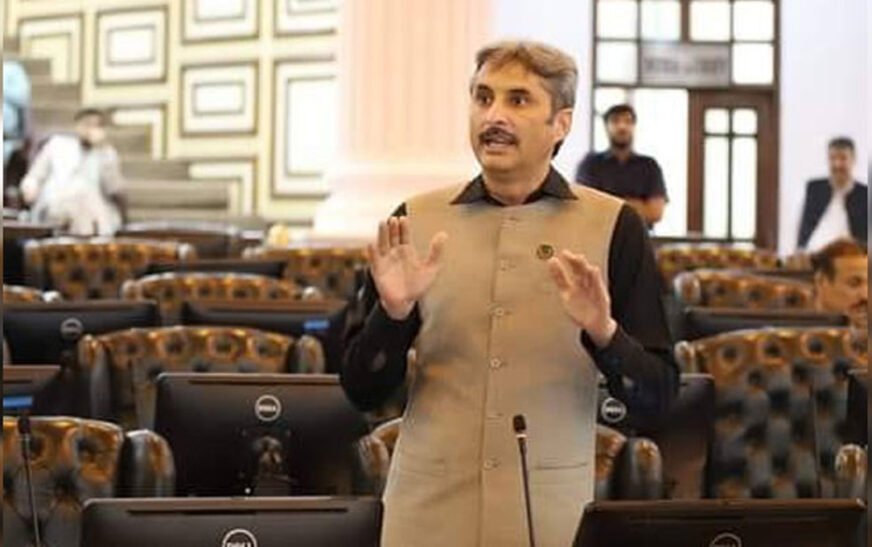parliamentary leader of PPP Ahmed Karim Kundi, raised serious objections over the appointment of Mazamil Aslam as the Finance Minister.