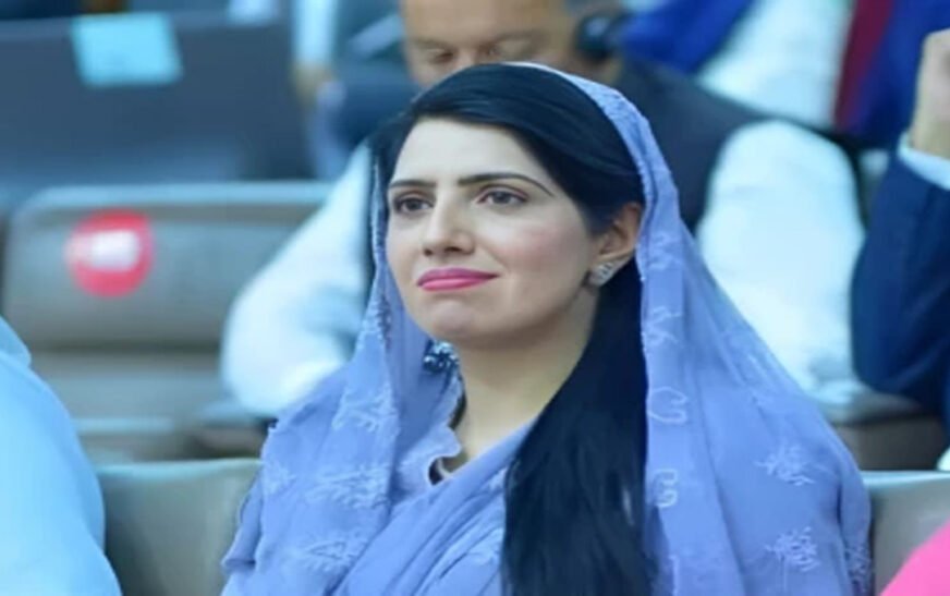 Pakistan Tehreek-e-Insaf (PTI) Punjab’s Chief Organizer Aliya Hamza has reportedly been arrested in Lahore.